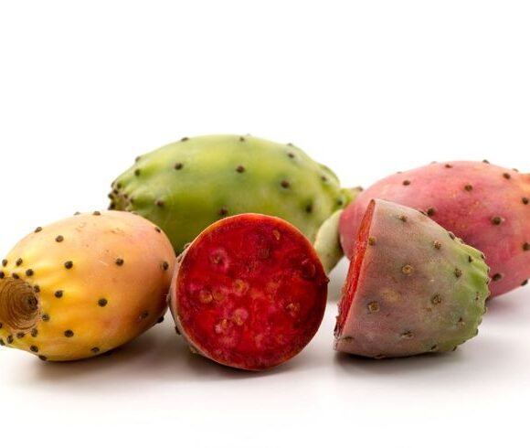Cactus Fruit