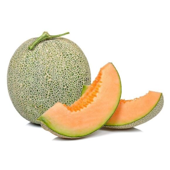 Cantaloupe