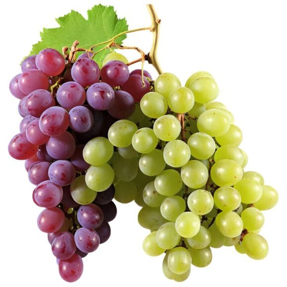 Grapes