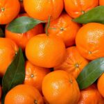 spanish murcott mandarin