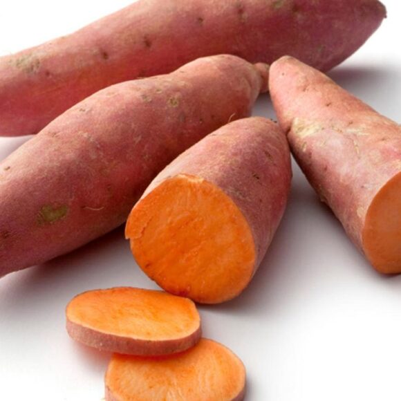 Potato