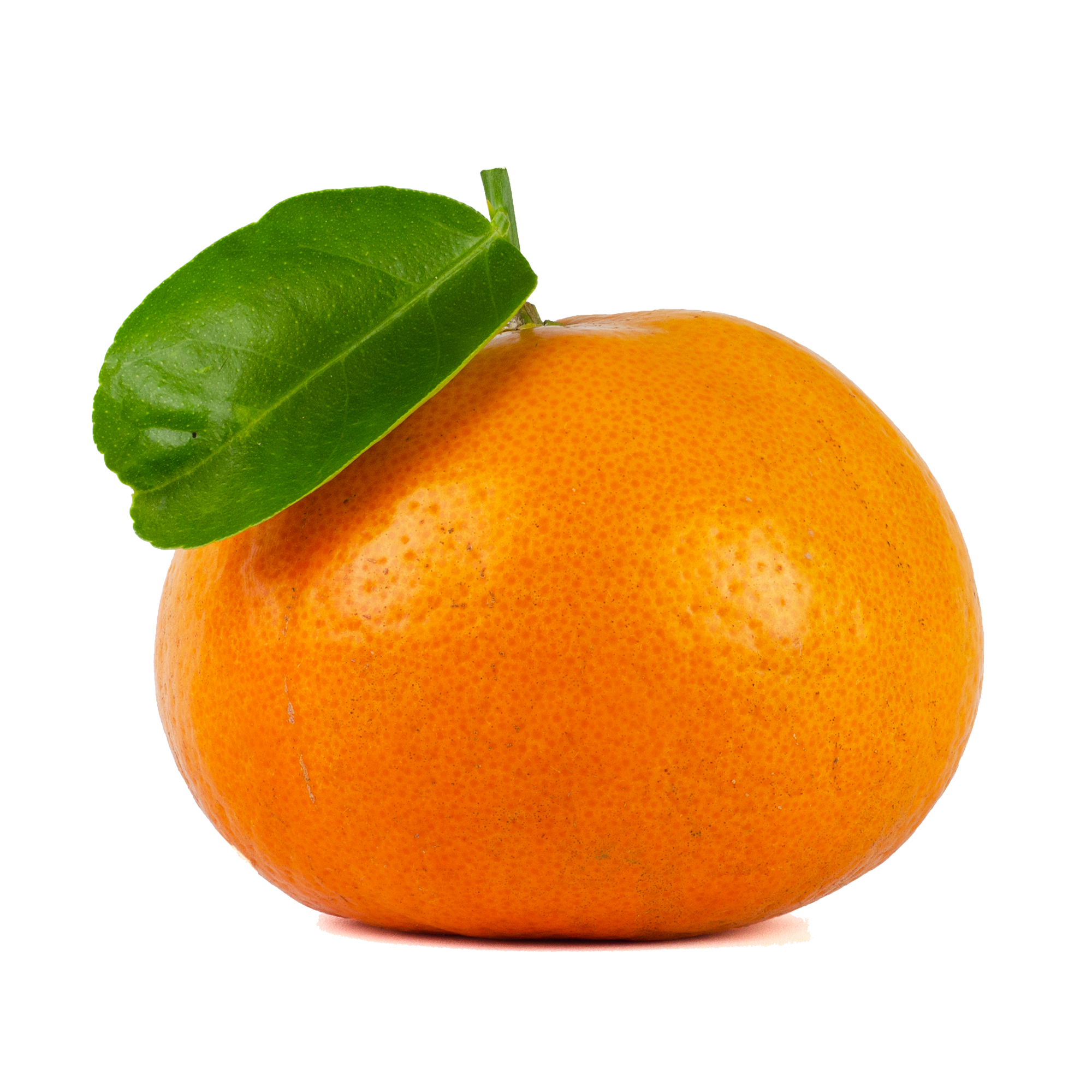 —Pngtree—single piece of fresh mandarin_5261902